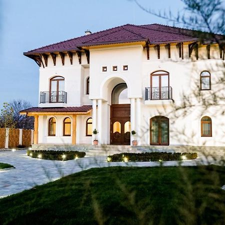 Bed and Breakfast Conacul Olarilor Baia de Fier Esterno foto