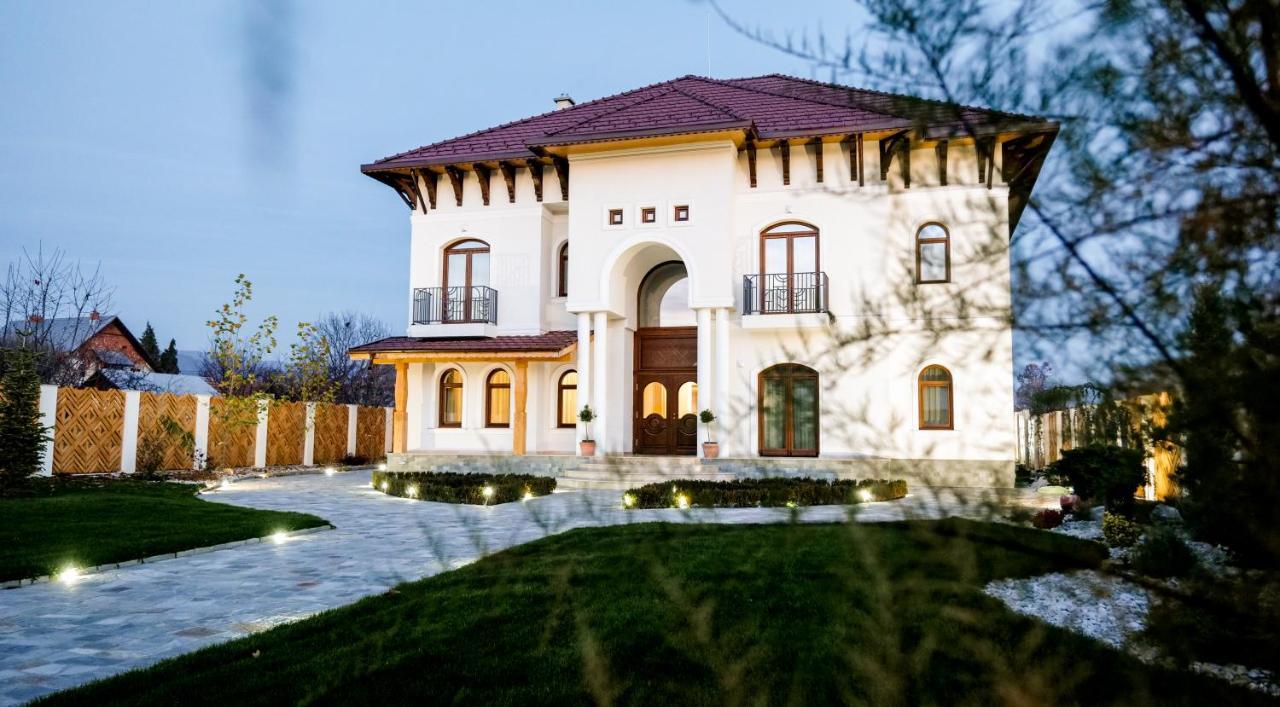 Bed and Breakfast Conacul Olarilor Baia de Fier Esterno foto