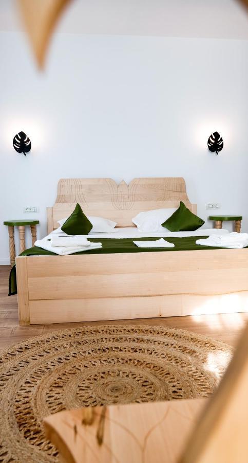Bed and Breakfast Conacul Olarilor Baia de Fier Esterno foto